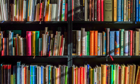 Books on a shelf in the library