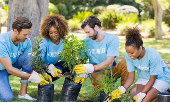 Four volunteers kneeling down and planting flowers