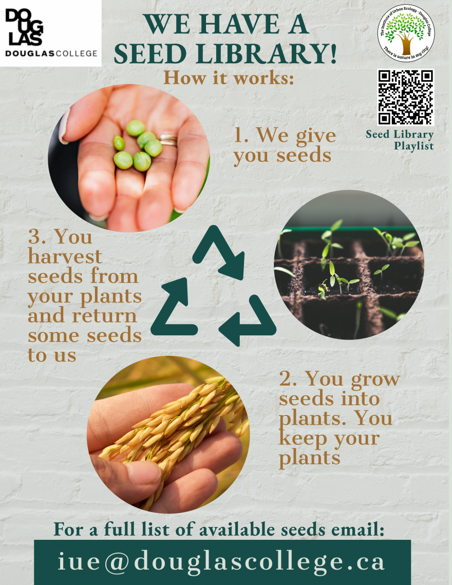 What is a seed library?