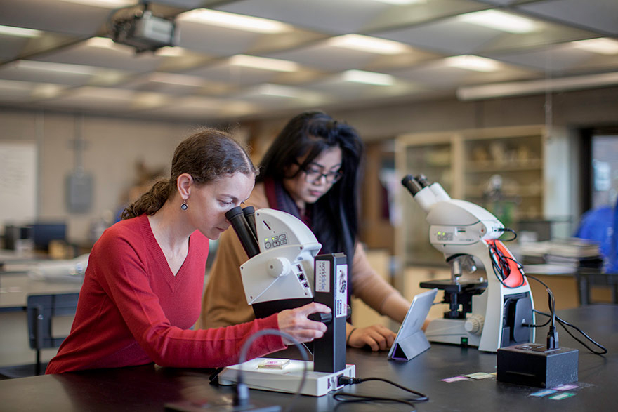 Research and Ethics