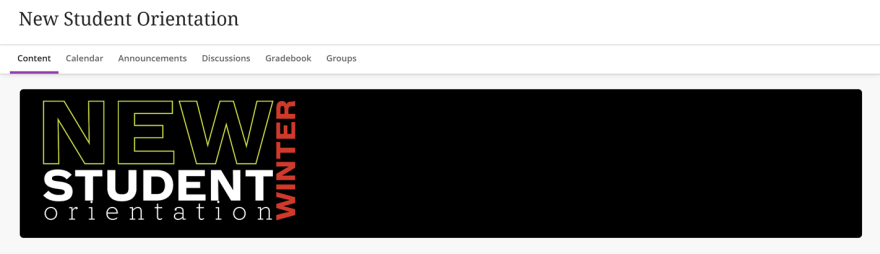 Screenshot of the online orientation course