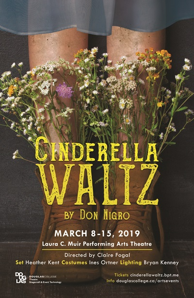 Cinderella Waltz Poster