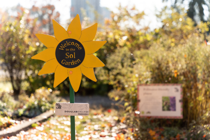 Welcome to Sol Garden