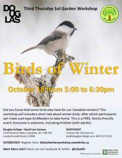Birds of Winter Poster