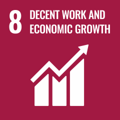 United Nations Sustainable Development Goal 8 Decent Work and Economic Growth