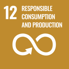 United Nations Sustainable Development Goal 12 Responsible Consumption and Production