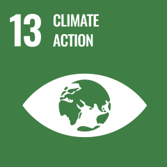 United Nations Sustainable Development Goal 13 Climate Action
