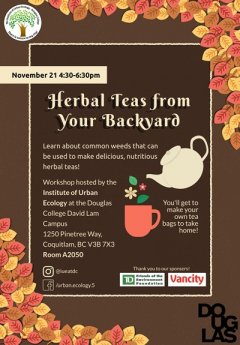 Herbal Teas From Your Backyard Poster