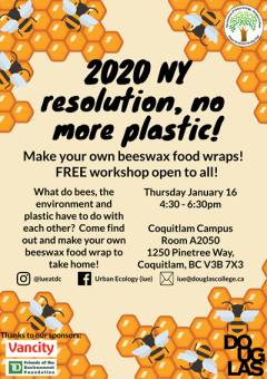 2020 NY Resolution, No More Plastic Poster