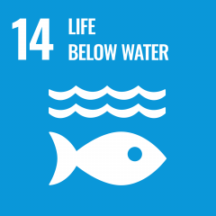 United Nations Sustainable Development Goal 14 Life Below Water