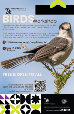 November 17, 2025 workshop poster