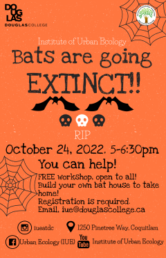 October 24, 2022.  Bat house poster
