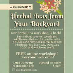 March 29, 2021.  Herbal Tea Webinar poster