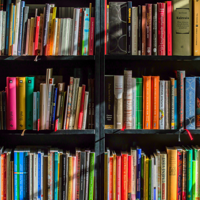 Books on a shelf in the library
