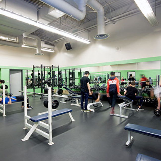Health and Wellness