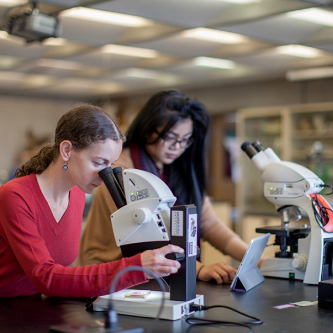 Research and Ethics