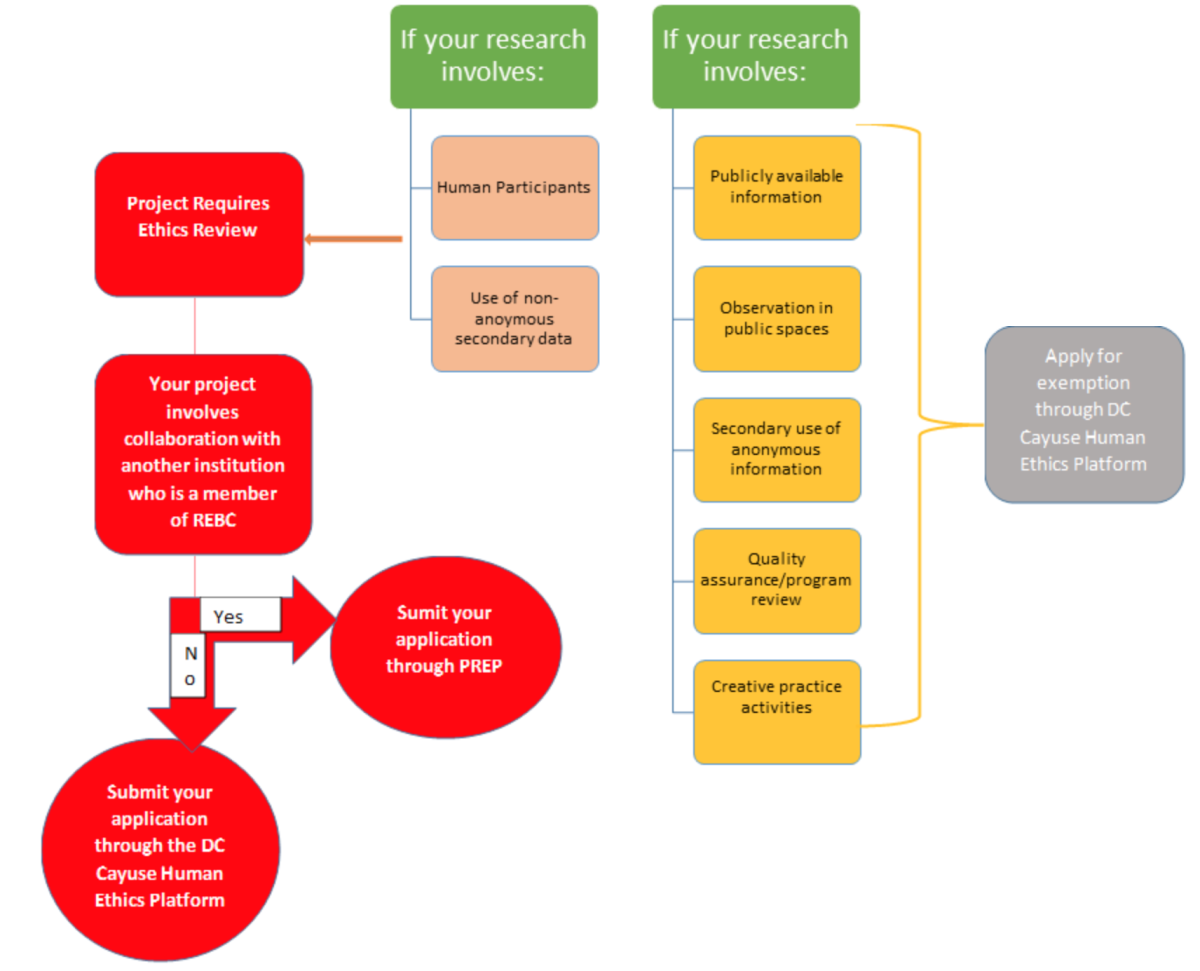 Summary of REB Application Process